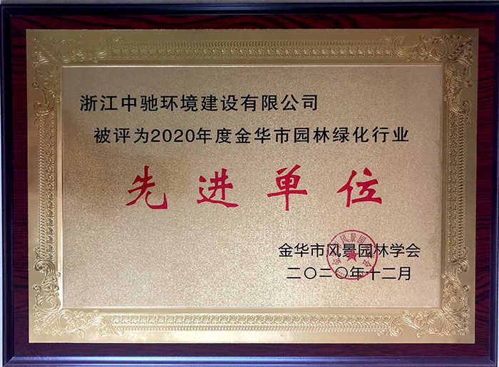 2020先進(jìn)單位